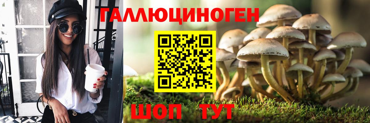 Псилоцибиновые грибы мухоморы Амурск