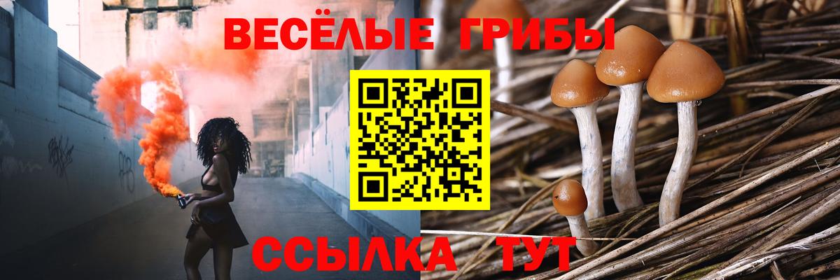 Амурск  Псилоцибиновые грибы прущие грибы  закладка  Вход с VPN  Псилоцибиновые грибы ЛСД 